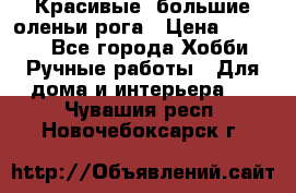 Красивые  большие оленьи рога › Цена ­ 3 000 - Все города Хобби. Ручные работы » Для дома и интерьера   . Чувашия респ.,Новочебоксарск г.